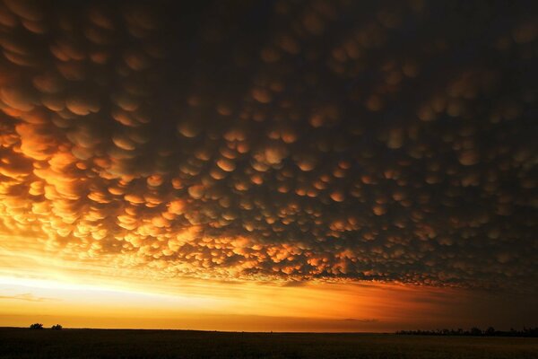 Nuvole porose al tramonto nel campo