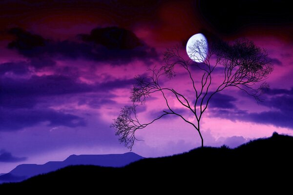 Лунный свет освещает дерево в ночи