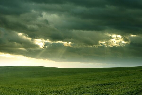 A green field under a stormy sky