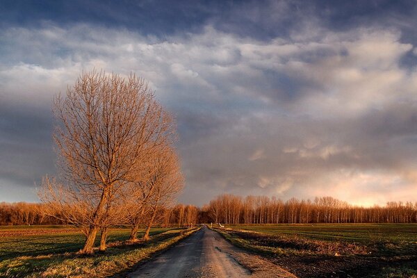 The native road under the autumn clouds