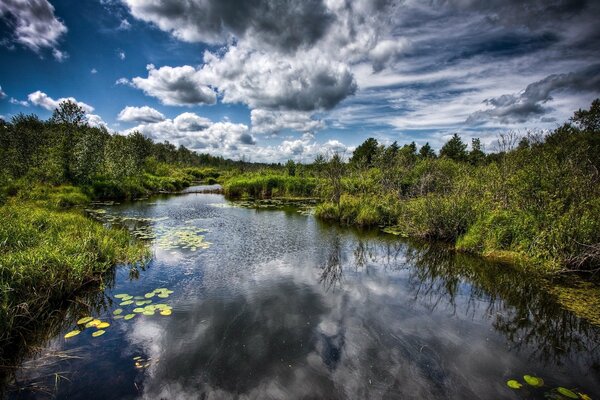 Increíbles nubes y árboles en el reflejo del agua