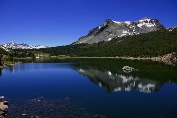 Mountain landscape: lake and trees on the shore