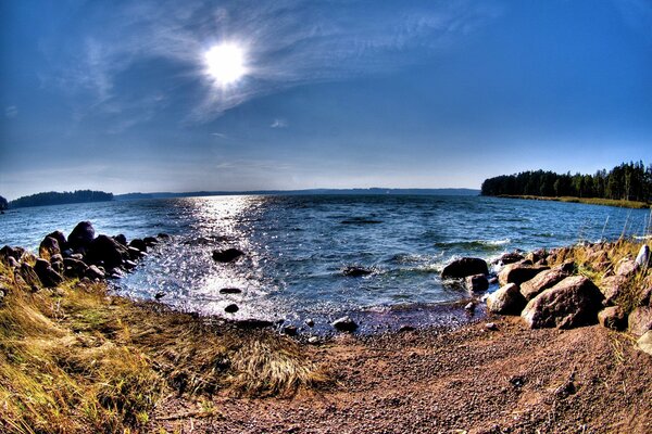 Lago agua en la orilla panorama