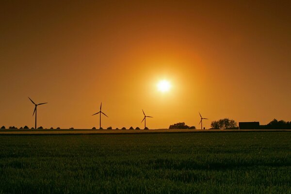 Mulini a vento in un campo al tramonto 0