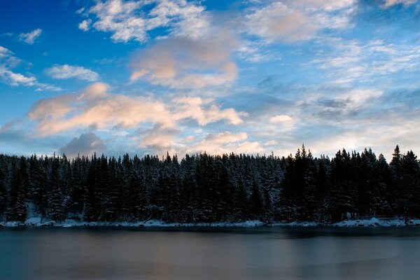 Lago cerca del bosque de invierno