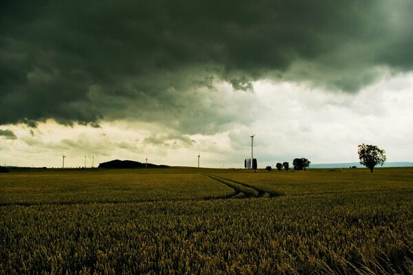 Camino en un campo sombrío, nubes de tormenta en el cielo