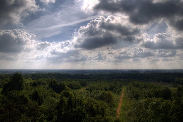 Nuages et le long chemin vers les arbres