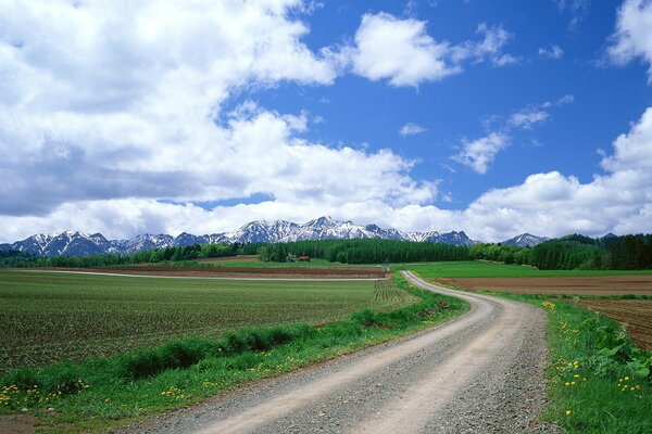 Costoso sul campo verde, in lontananza