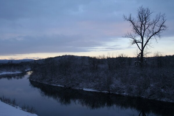 Winter river in the forest at dusk