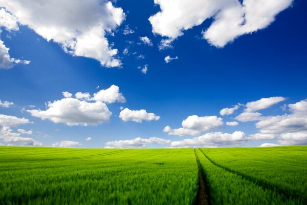 Una pista en un campo verde que se extiende hacia el horizonte