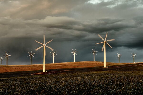 Windmills against a gray sky