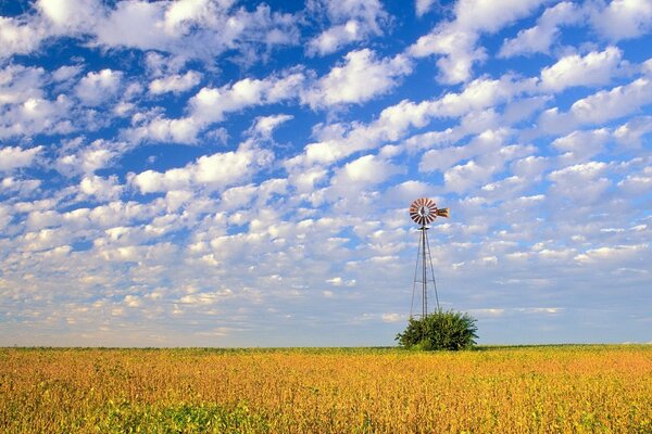 Amarillo después bajo las nubes blancas