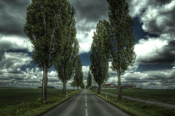 Route goudronnée entre les champs avec des arbres sur le bord de la route et un ciel sombre et orageux