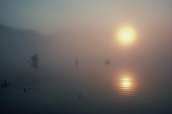 El sol se refleja en un lago que está envuelto en niebla