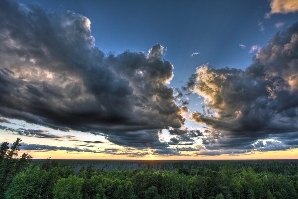 Niedrige Wolken am Himmel über dem Wald