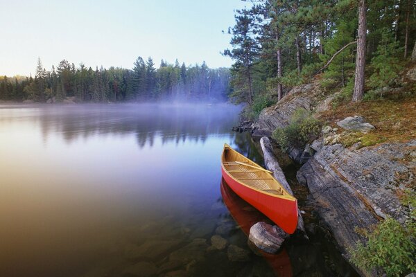 Vista desde una Canoa cerca del bosque y el lago