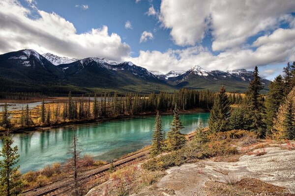 Rivière entre sapins et montagnes