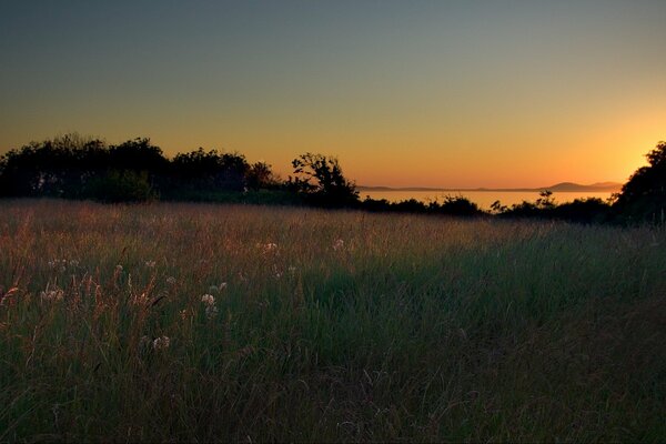 Sunset in a clearing is beautiful