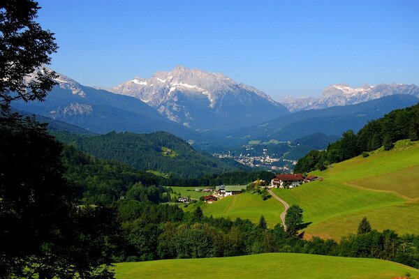 Prati alpini circondati da montagne