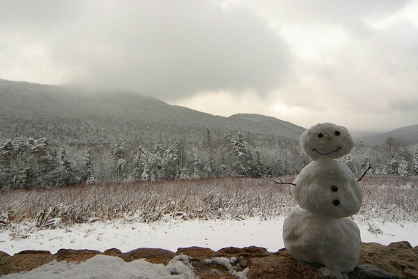 Pequeño muñeco de nieve en el fondo de los árboles cubiertos de nieve