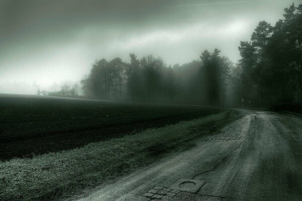 Eine düstere Straße, die entlang des Feldes führt