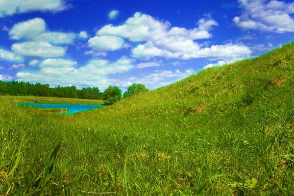 Зеленые холмы у водоема. Панорама