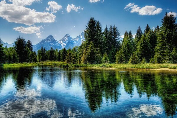 Spiegelsee im Tannenbaum