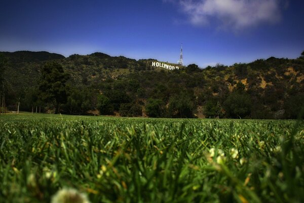 Aire de jeux avec une pelouse verte en face des collines avec l inscription Hollywood