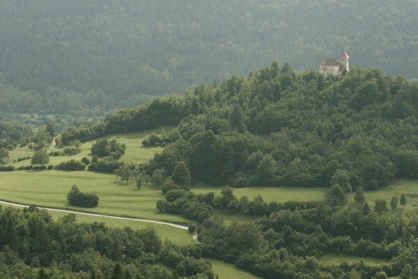 Burg inmitten von Bäumen auf einem Hügel