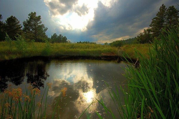 Reflejo del sol en un lago rodeado de hierba verde oscuro