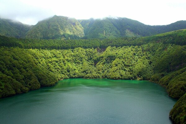 Lago en el bosque. Montañas verdes