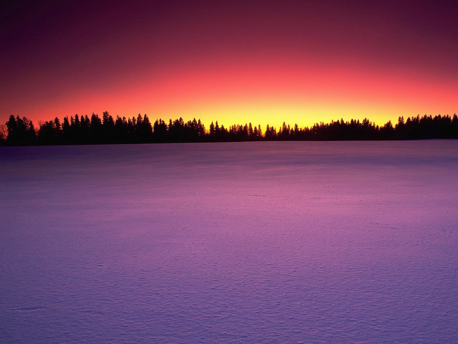 neve tramonto alberi