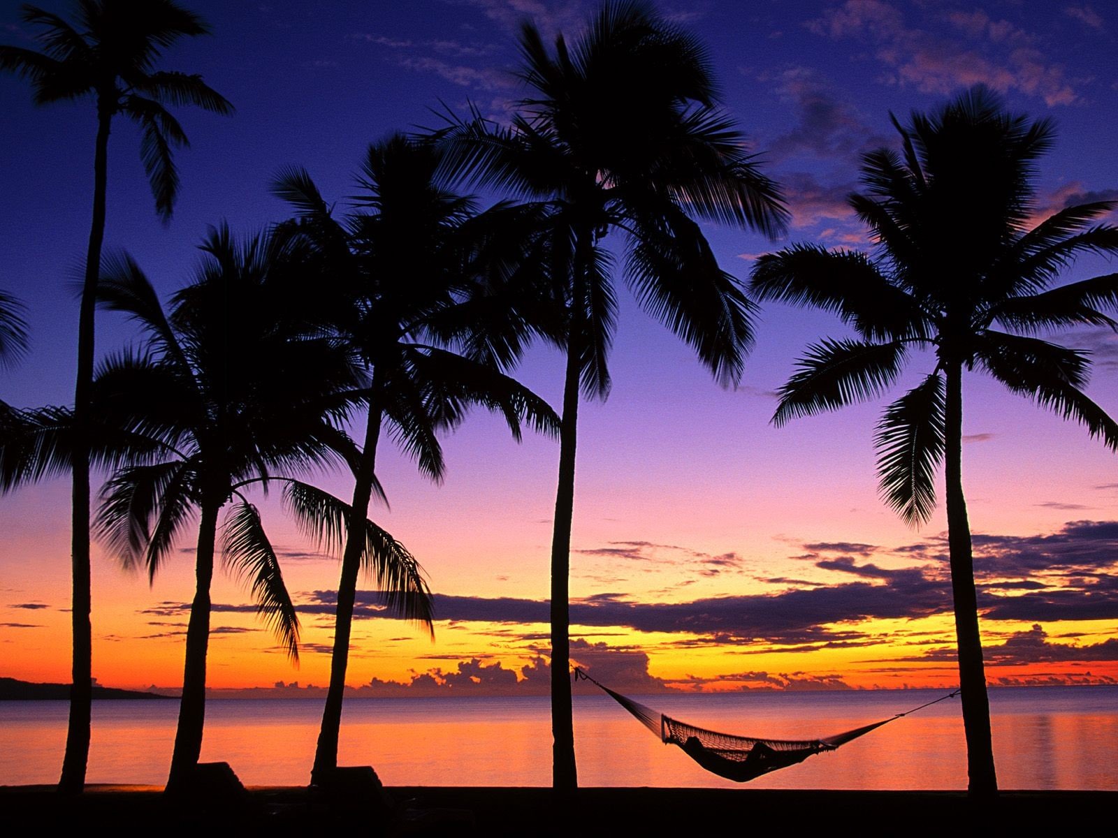 fiji palm sunset hammock