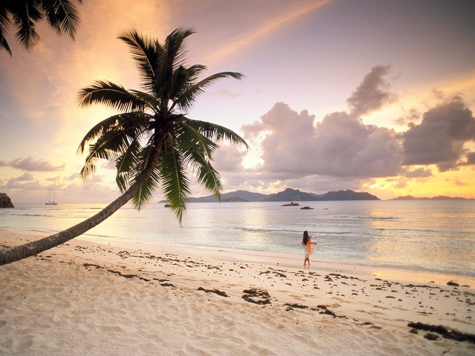 seychellen strand palma