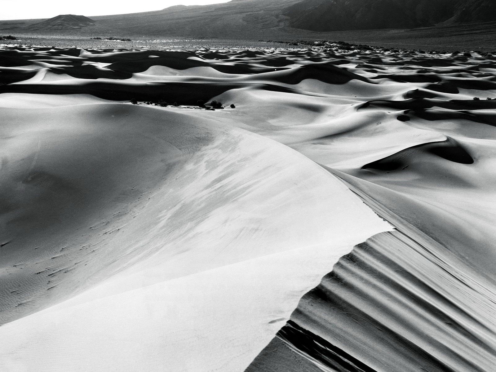 noir blanc sable désert