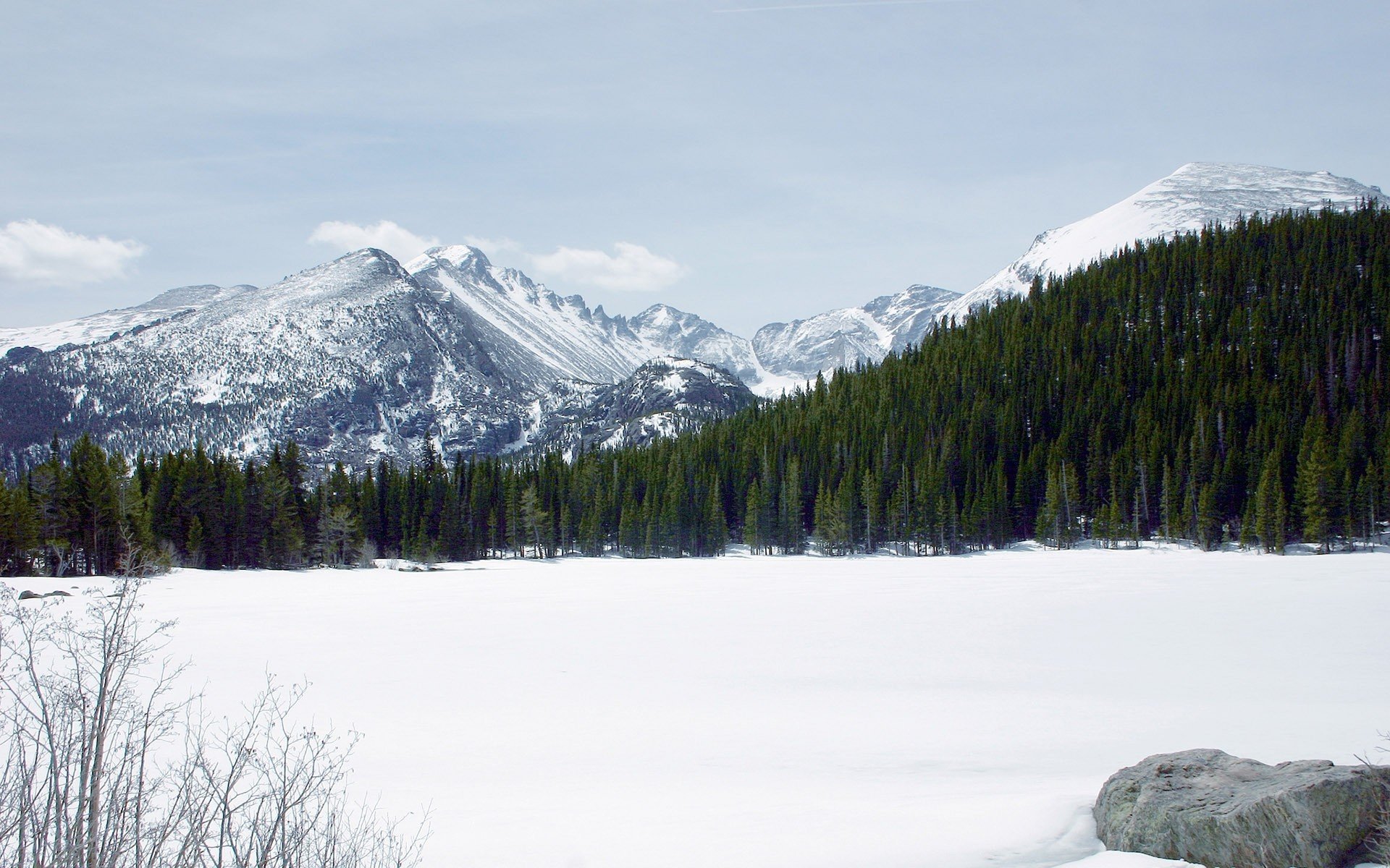 montagne neve foresta