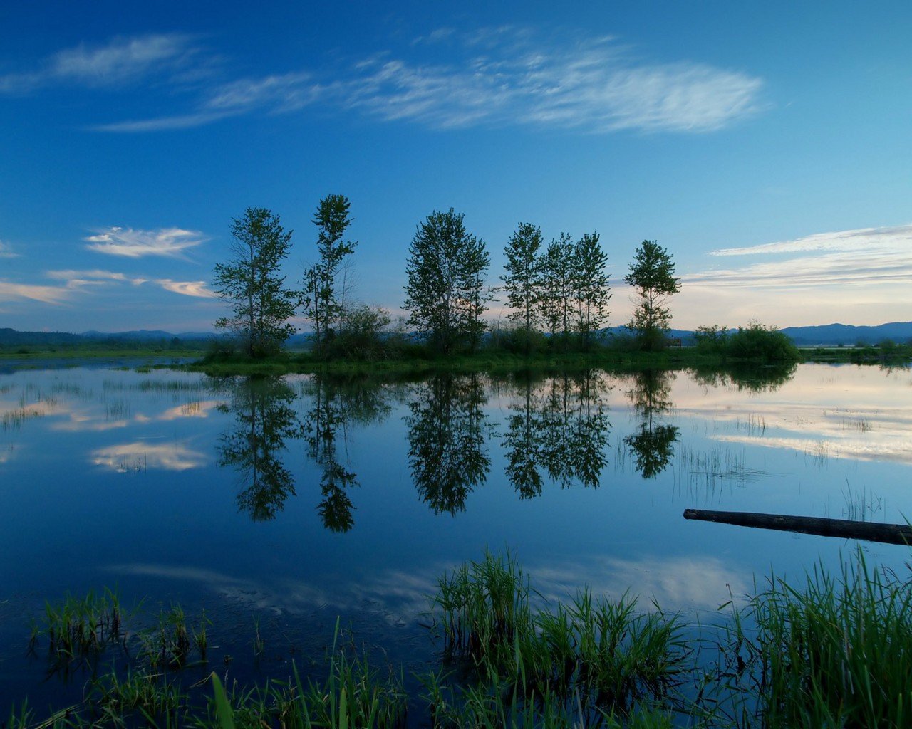 lago alberi riflessione