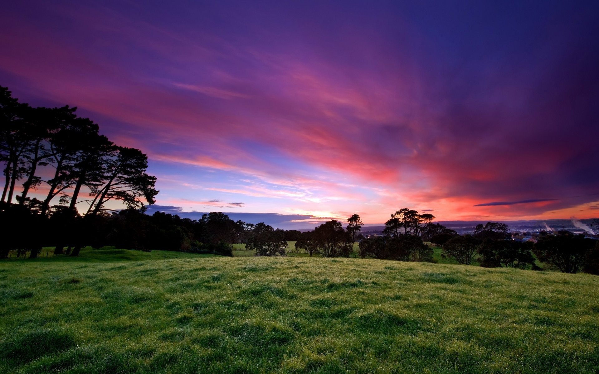 herbe arbres ciel coucher de soleil