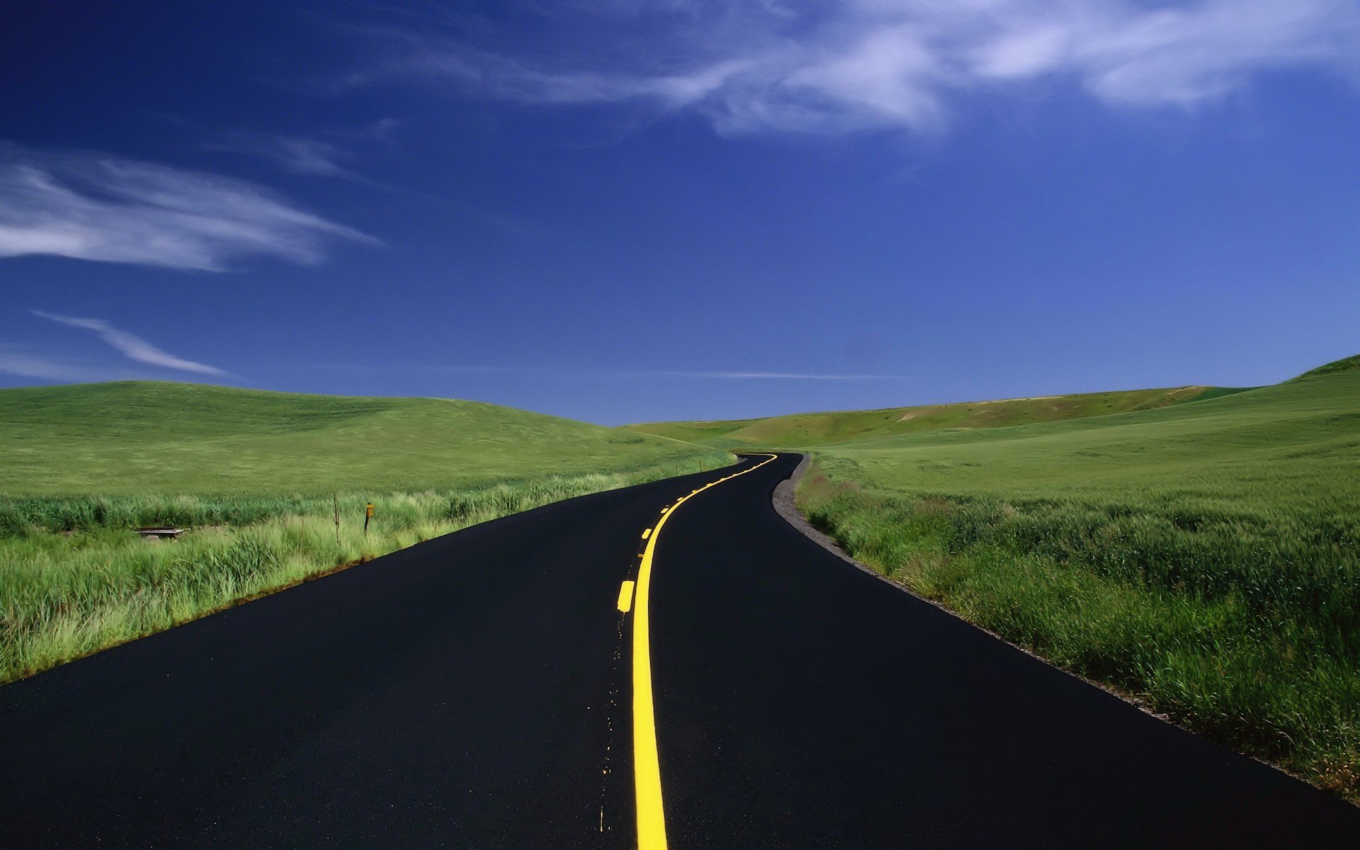 road counting grass of the field