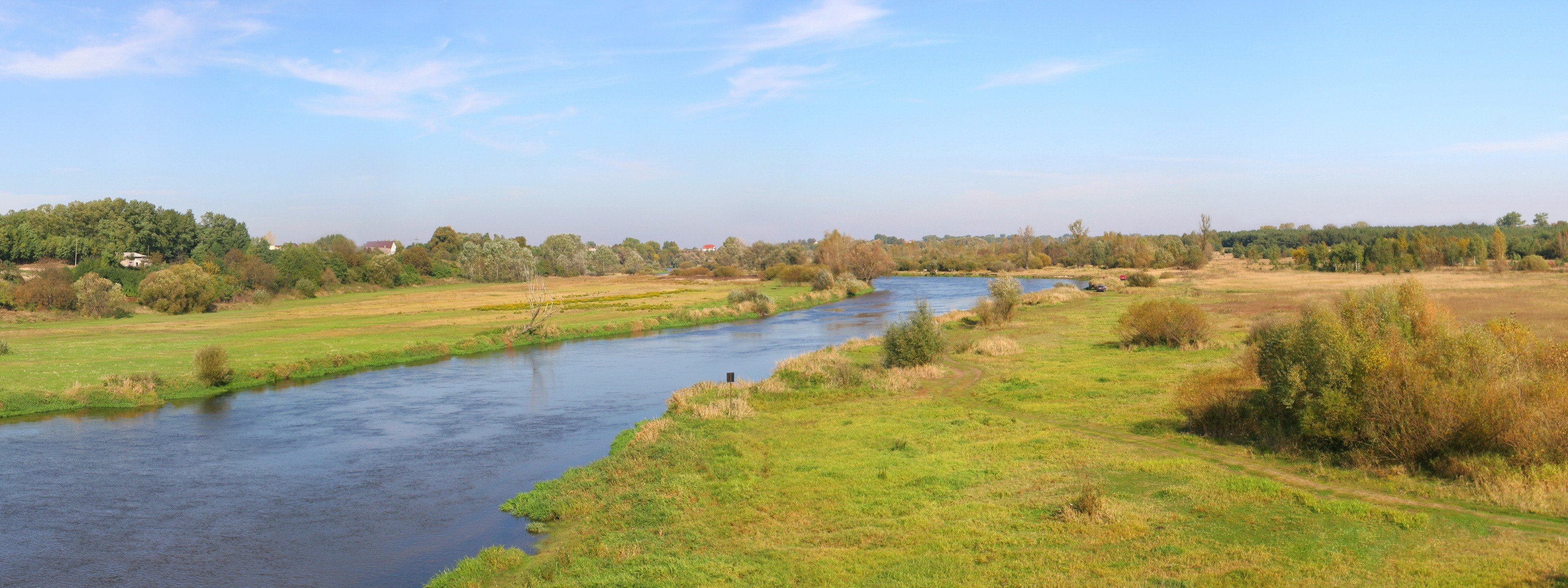 straße fluss bäume