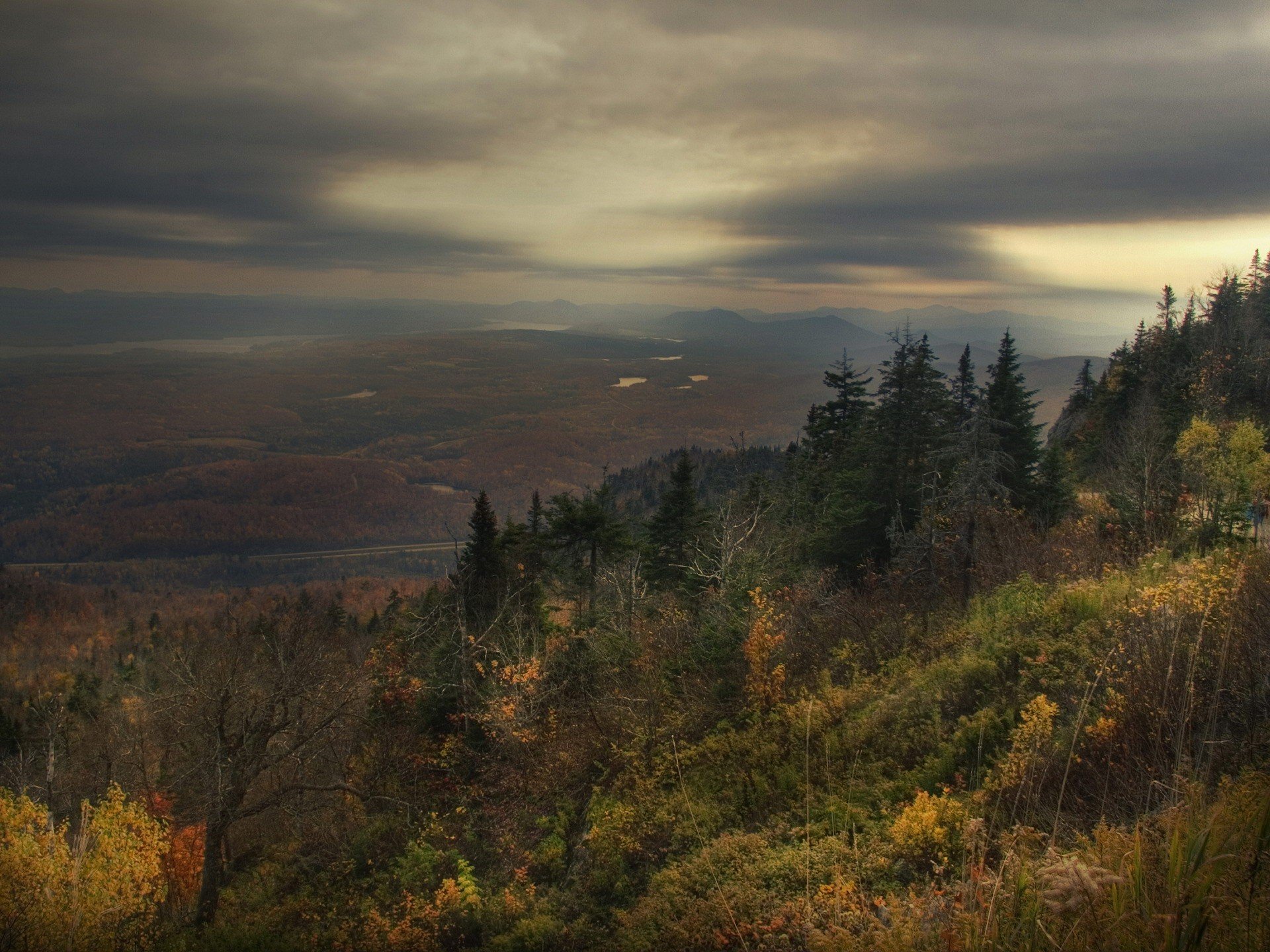 automne forêt tristesse