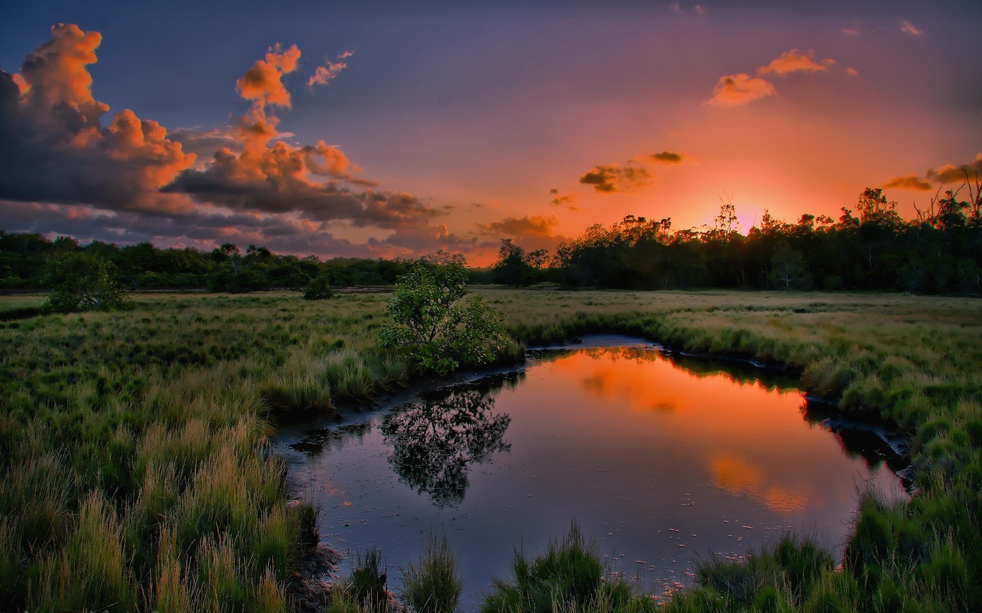 a pool grass sunset