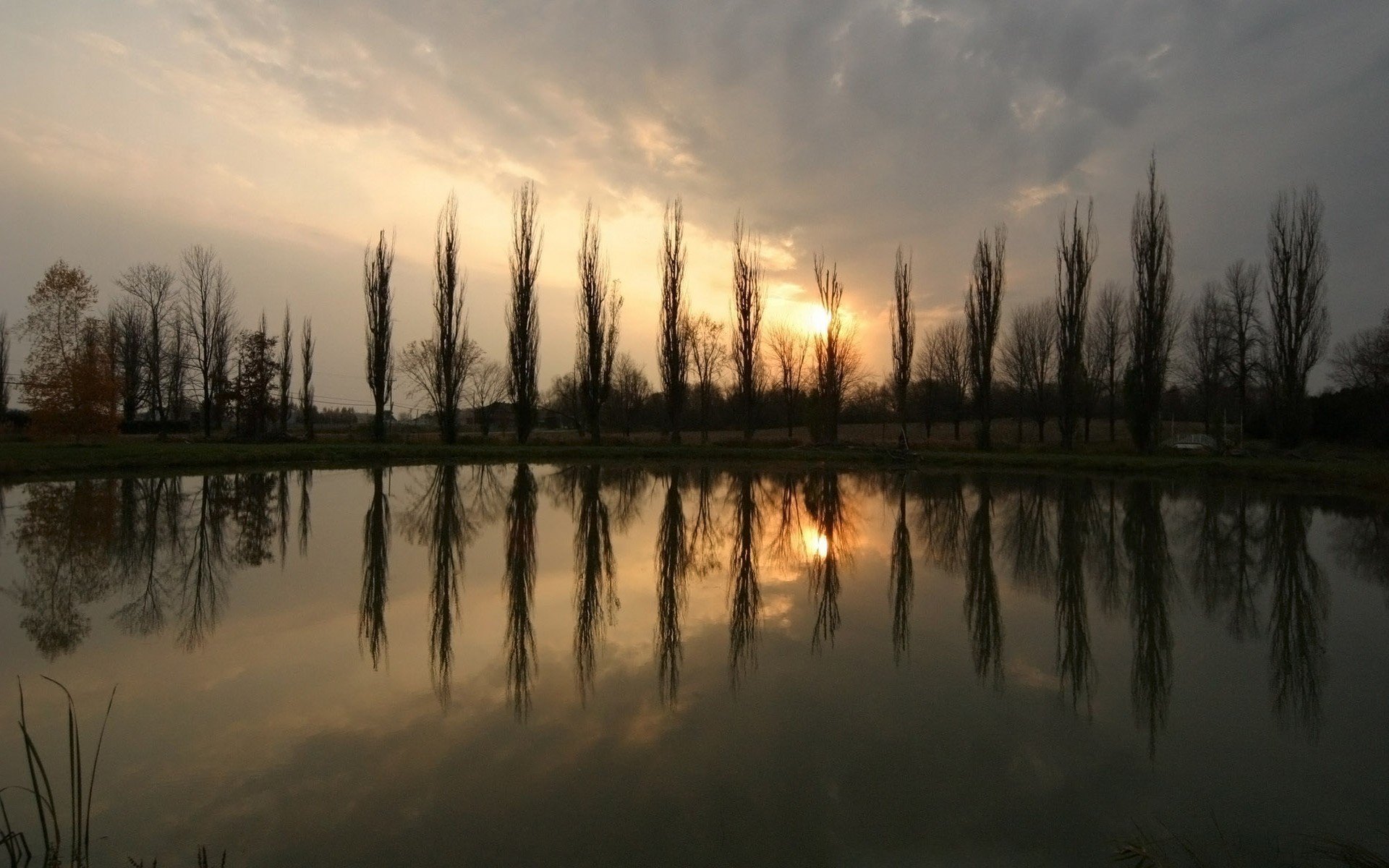 sonne teich sonnenuntergang bäume