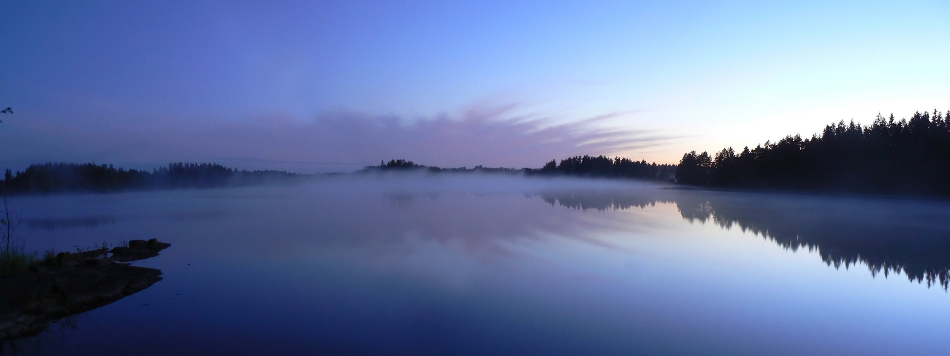 lake fog tree reflection