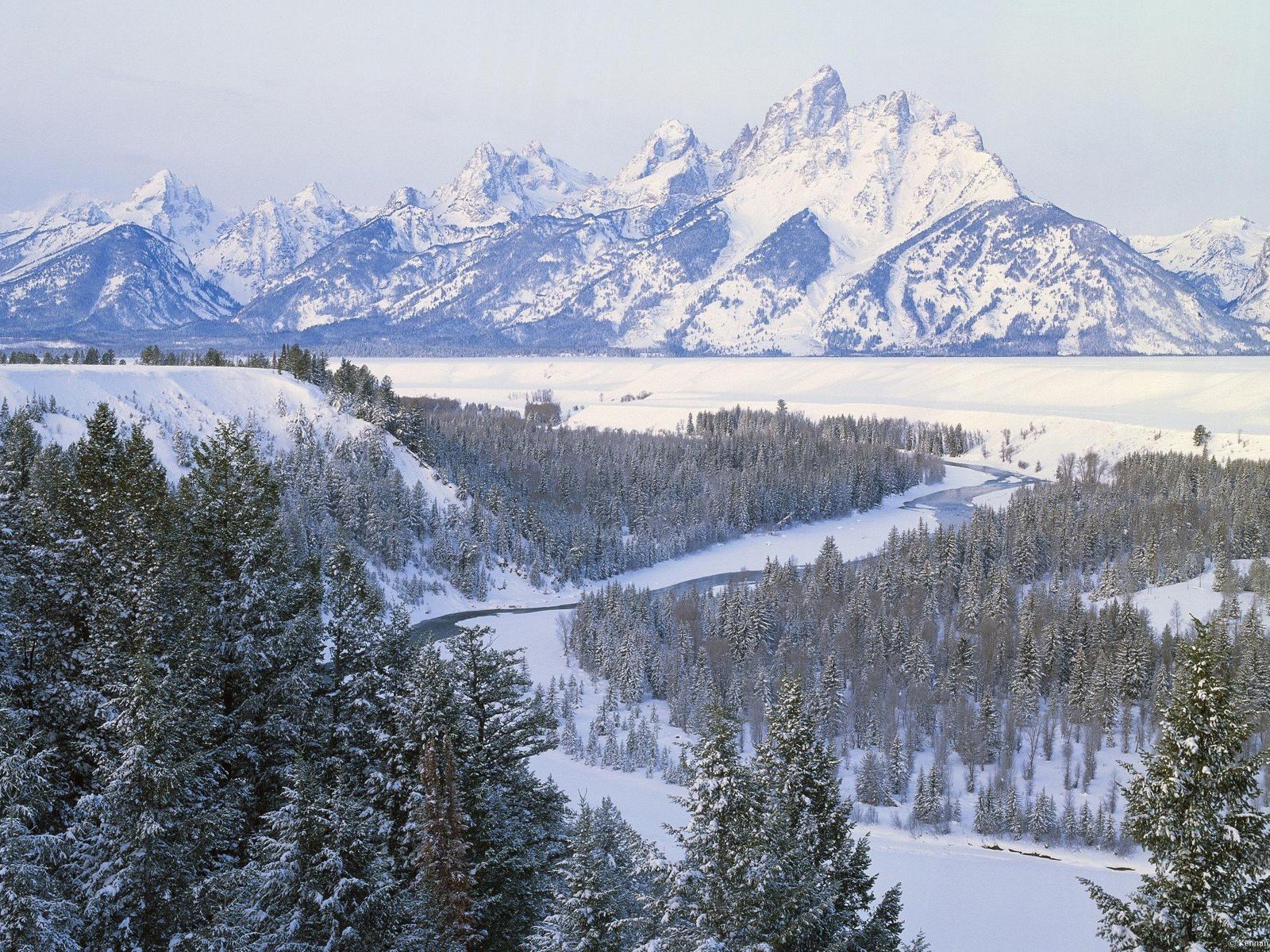 montañas nieve árboles invierno río