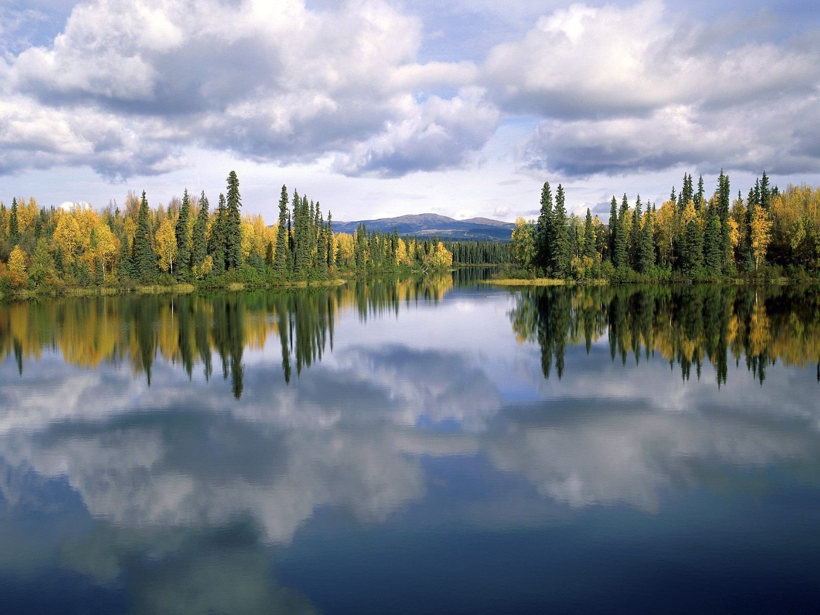 árboles reflexión lago