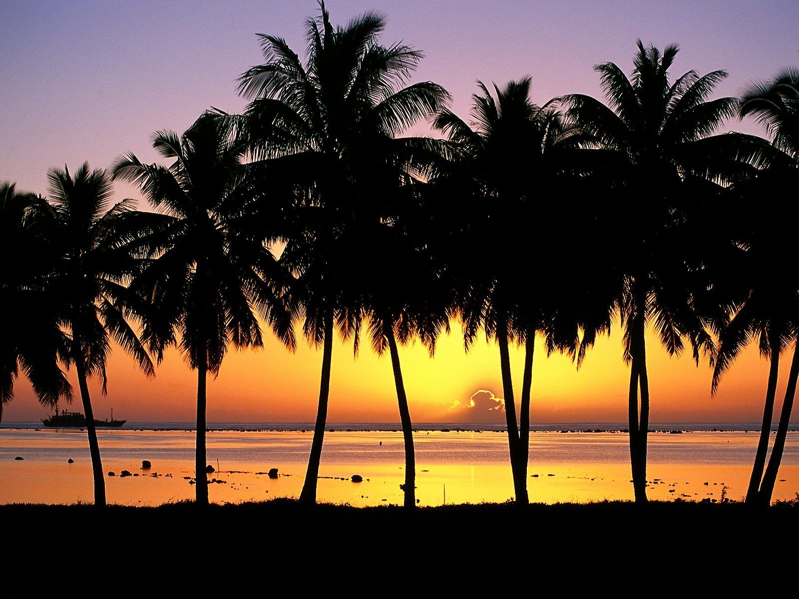 aitutaki insel sonnenuntergang palmen