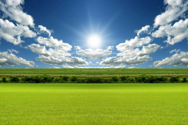 Smooth horizon of green fields on a clear sunny day