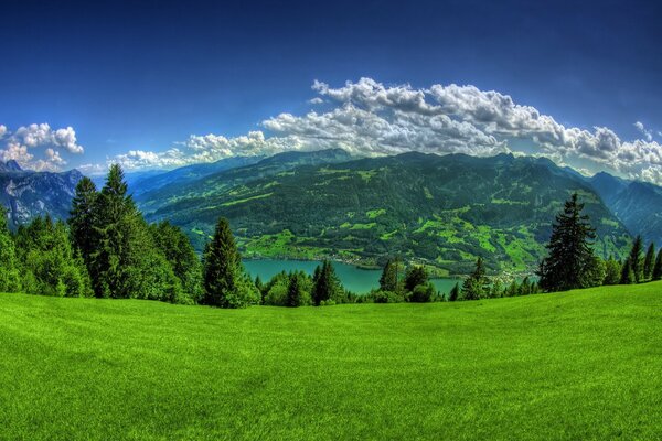 Beau paysage de montagnes, herbe verte, rivière