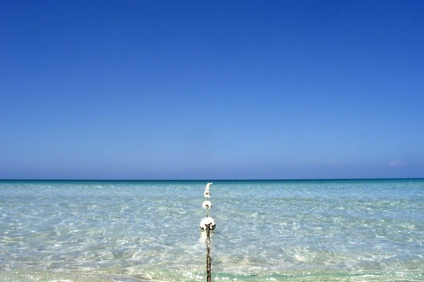 Blue sea white sand